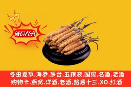 昆明市回收虫草多少钱每克